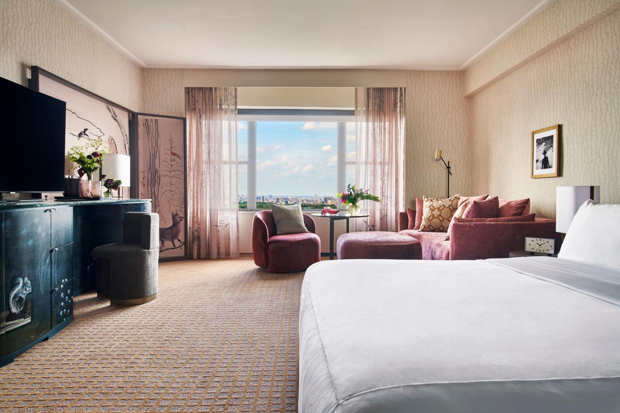 Park View Studio Suite