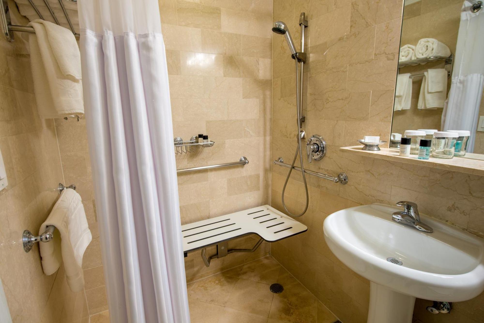 One-Bedroom King Suite