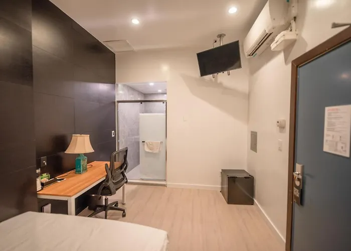 Pets Allowed Hotel One Boutique